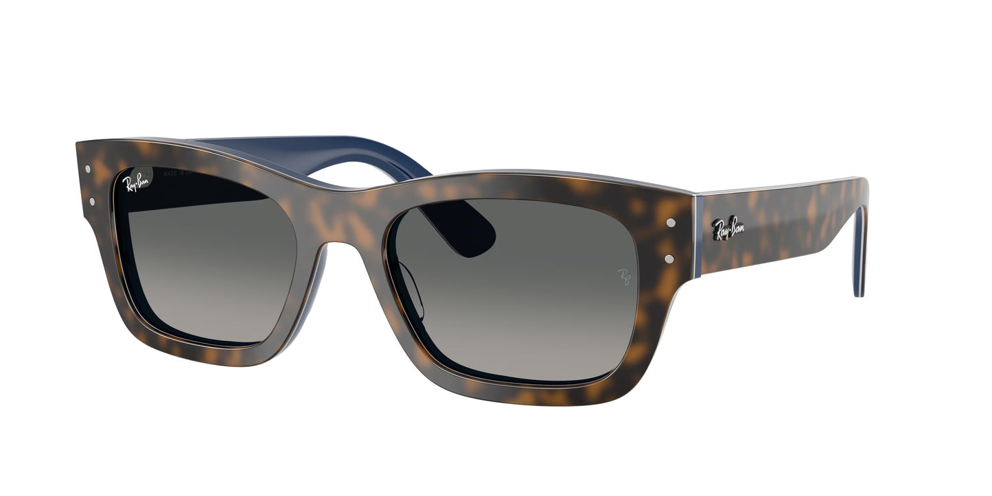 Occhiali da Sole Ray-Ban RB7683S Joseph