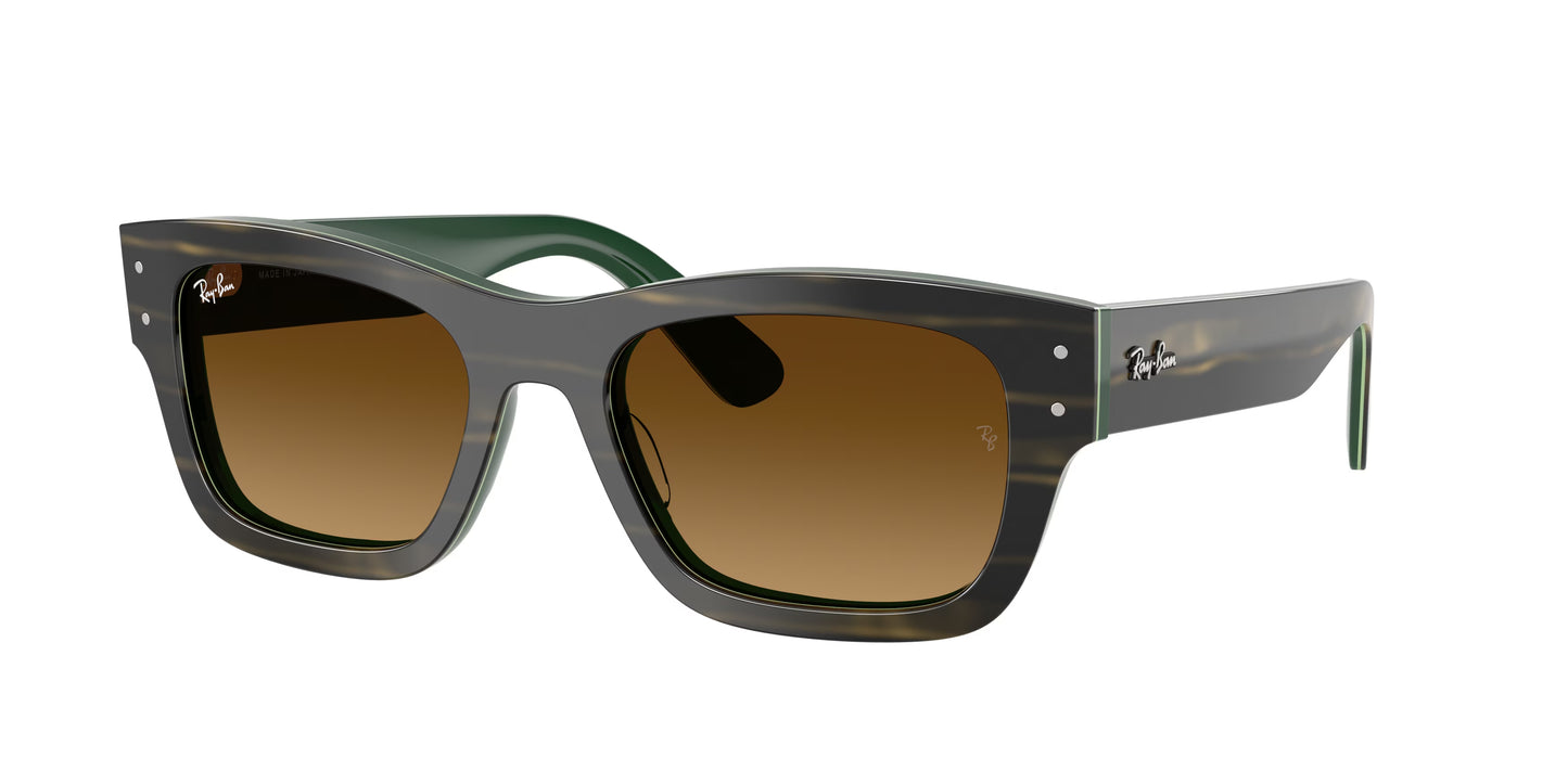 Occhiali da Sole Ray-Ban RB7683S Joseph