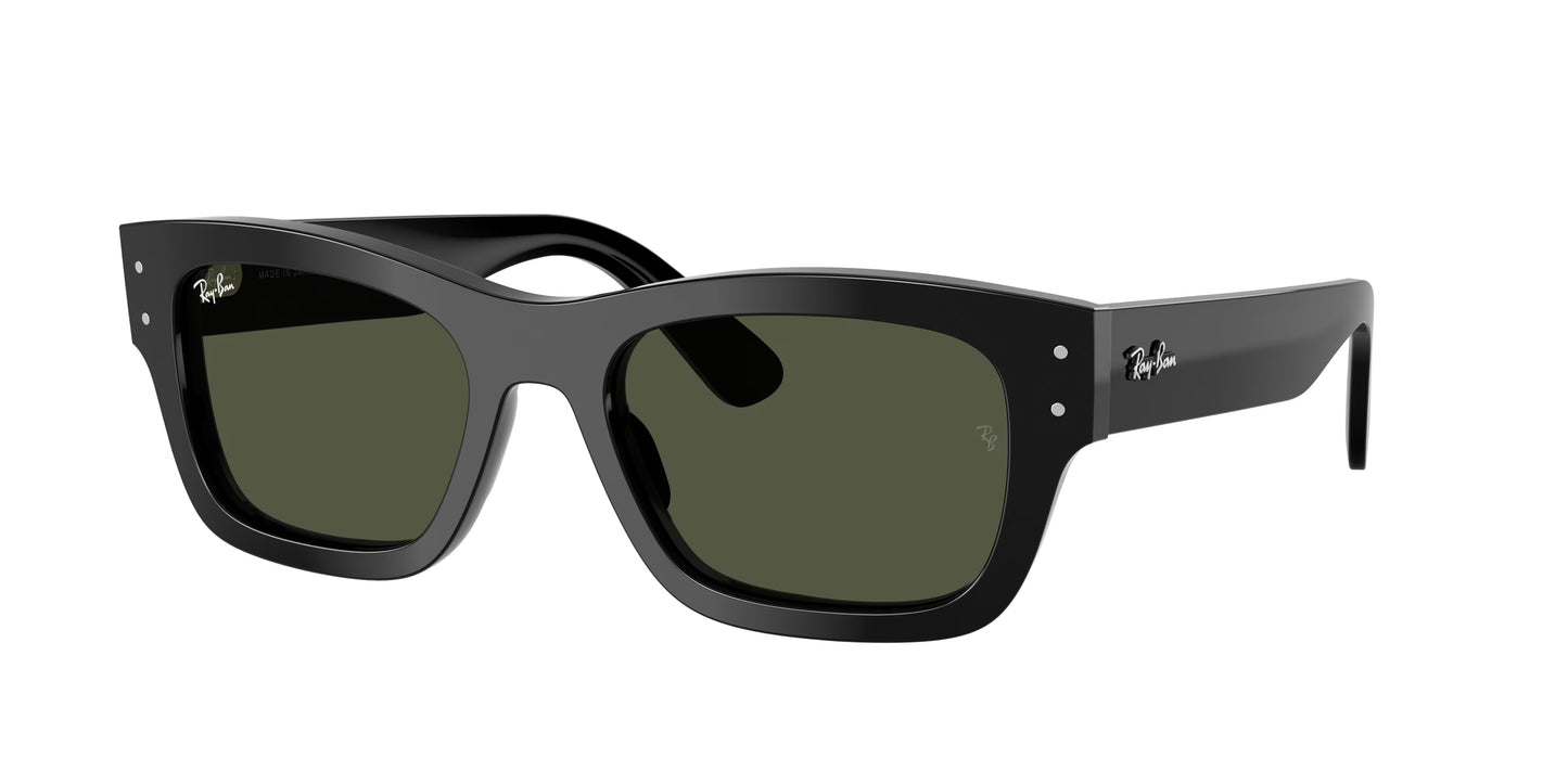 Occhiali da Sole Ray-Ban RB7683S Joseph