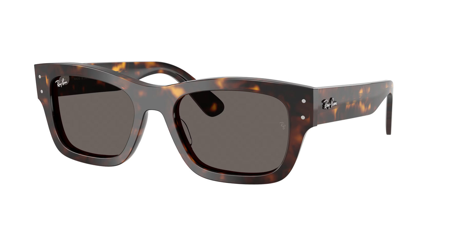 Occhiali da Sole Ray-Ban RB7683S Joseph