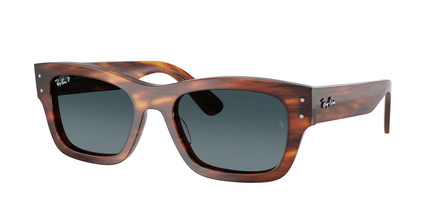 Occhiali da Sole Ray-Ban RB7683S Joseph