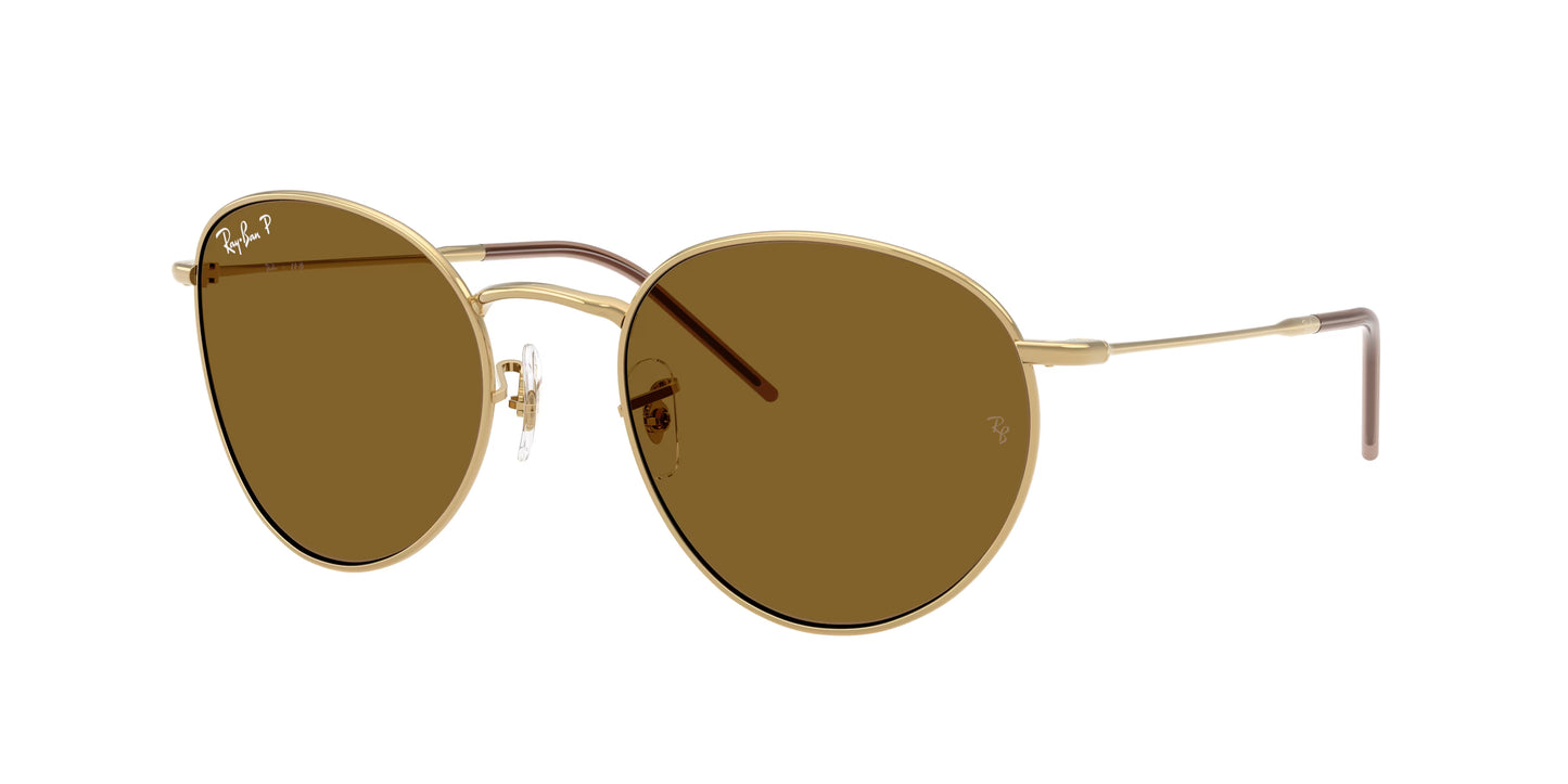 Occhiali da Sole Ray-Ban RBR0103S Round Reverse