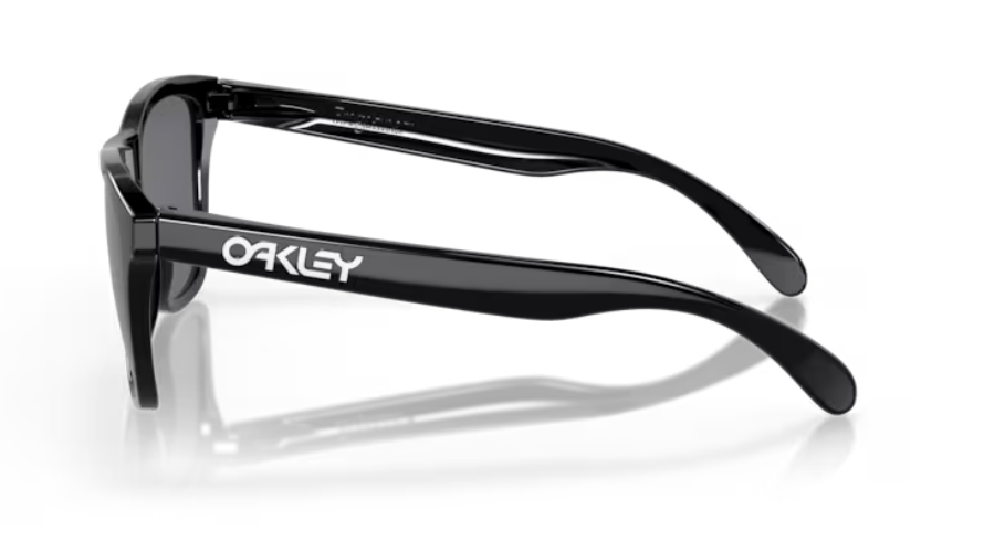 occhiali da sole Oakley OO9013 - Frogskins