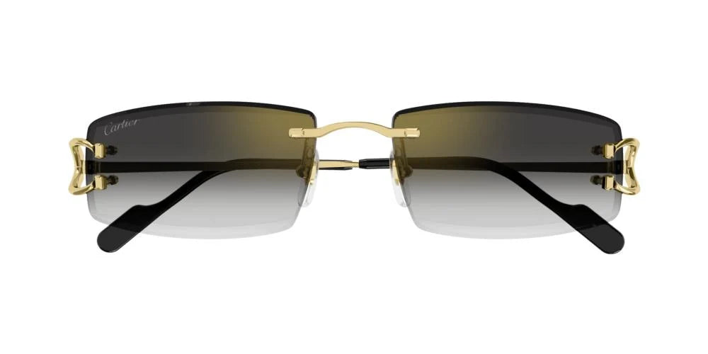 Occhiali da Sole Cartier CT0465S Core Range