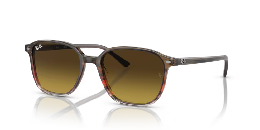 Occhiali da Sole Ray-Ban Leonard RB2193 – Stile Anni ’70 Unisex