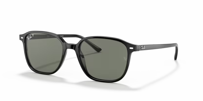 Occhiali da Sole Ray-Ban Leonard RB2193 – Stile Anni ’70 Unisex