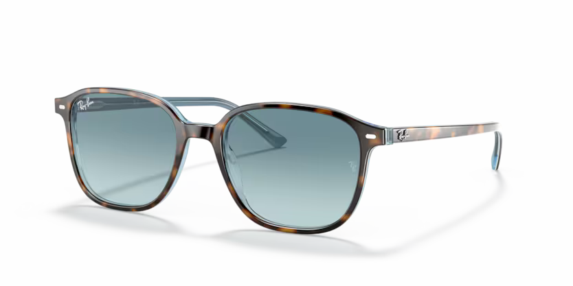 Occhiali da Sole Ray-Ban Leonard RB2193 – Stile Anni ’70 Unisex