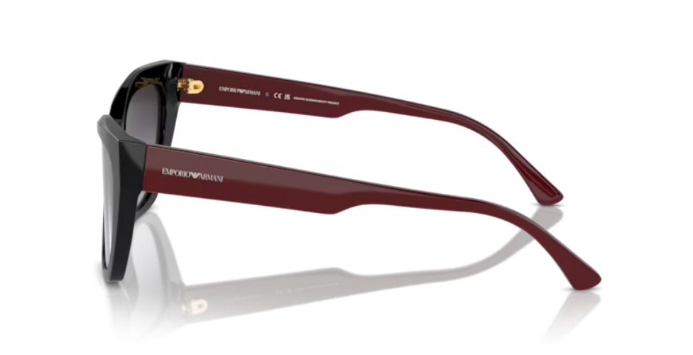 Occhiale da Sole Emporio Armani 4176 | cat-eye