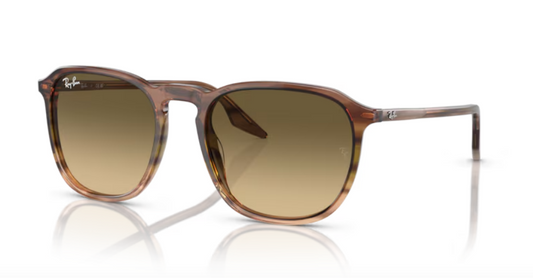 occhiale da sole Ray-Ban 2203